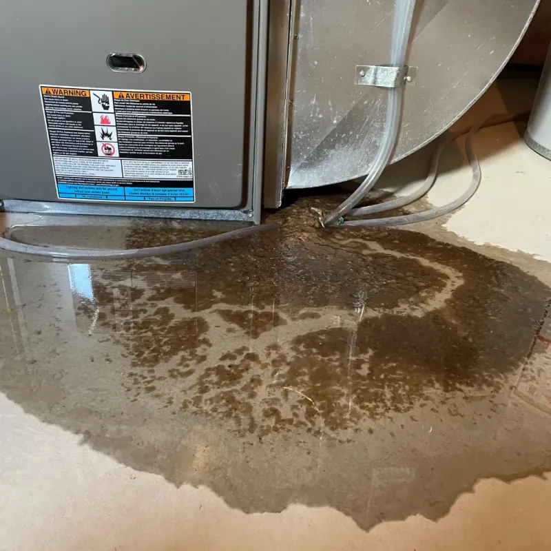 Appliance Leak Cleanup in Happy Camp, CA